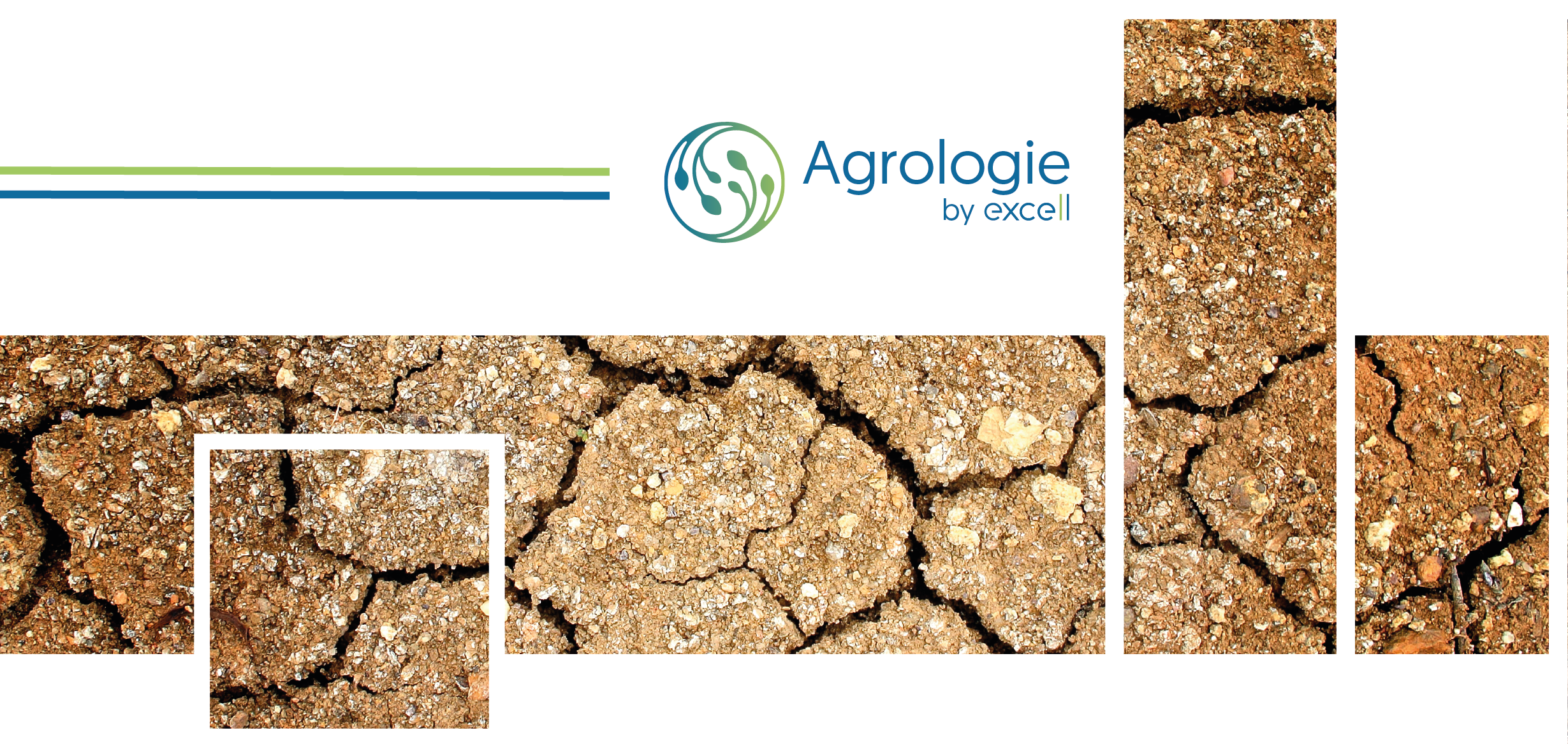 Charge microbienne et vitalité biologique, deux indicateurs globaux pour apprécier le fonctionnement microbiologique des sols