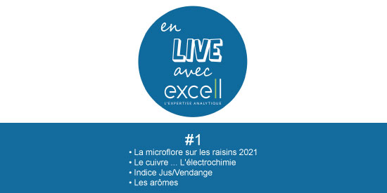 EN LIVE AVEC EXCELL #1