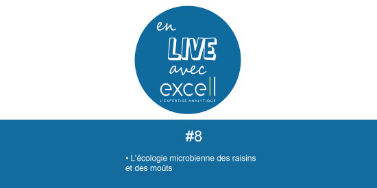 EN LIVE AVEC EXCELL #8