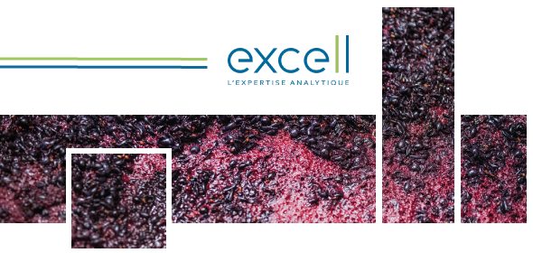 La gestion du risque brettanomyces en sortie de fermentation alcoolique